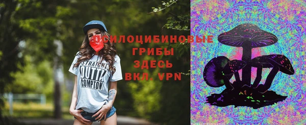 прущая мука Лабытнанги